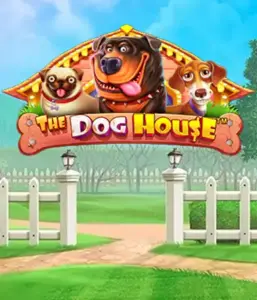 Из Pragmatic Play приходит The Dog House, демонстрирующий очаровательное переживание среди очаровательных собак. Откройте для себя функциях таких как липкие "вайлды", разработанных для предоставления развлекательного геймплея. Отлично для энтузиастов животных веселую атмосферу и возможностью выиграть крупно.