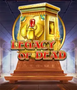 Отправляйтесь в древние глубины слота Legacy of Dead от Play'n GO, демонстрирующего потрясающие визуальные эффекты древнеегипетских божеств, гробниц и иероглифов. Найдите сокровища фараонов с волнующими функциями, включая расширяющиеся символы, бесплатные вращения и возможность игры на риск. Идеально для искателей приключений, очарованных египетской мифологией в поисках волнения сквозь пески времени.